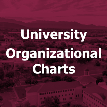 University Org Chart Image